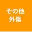 ���̑�